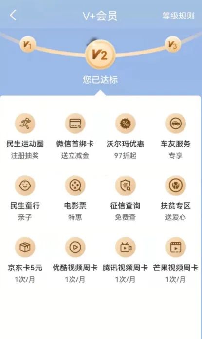 民生银行v+会员每月领视频网会员